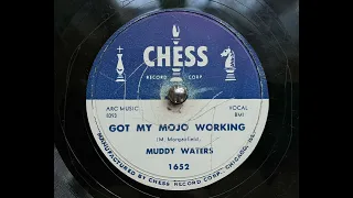 Muddy Waters - Got my mojo working