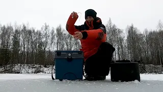 НЕ зря ПЕРЕЕХАЛИ! Первый лед 2021-2022, Рыбалка зимой на безмотылку, мормышку