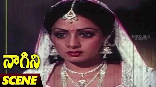 Sri Devi Converted Into Snake Scene || Naagini Telugu Movie || Rishi Kapoor, Sri Devi