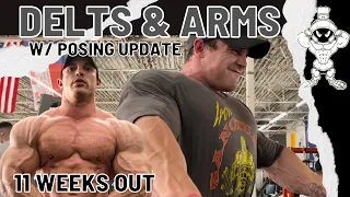 Delts and Arms 11 weeks out