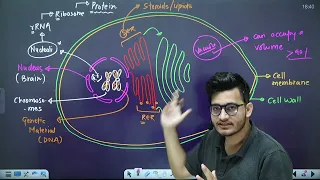 L4: Eukaryotic Cell Part-1 | Cell: The Unit of Life | 11th Class Biology | HyperBiologist Batch