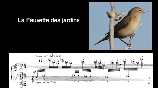 Les chants d'oiseaux du CATALOGUE D'OISEAUX d'Olivier Messiaen