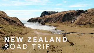 new zealand road trip in 60 seconds