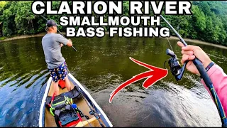 Smallmouth Bass Fishing on the Clarion River Pennsylvania! (Cook Forest State Park)