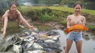 Videos Fishing - Unique Fishing Catch A Lot Off Fish With A Large Pump Sucks Water Out Of Lake