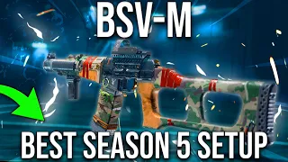 This INSANE BSV-M Setup will be the BEST Weapon you use in Season 5..