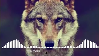 اغنيه تركيه 💔استكنان-موسيقى الذئب
