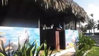 Доминикана  Occidental Grand Punta Cana  Видеообзор