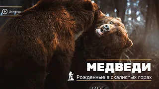 Рожденные в Скалистых горах. 1 серия. Viasat Nature HD. Документальный фильм 2023