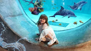 Clearwater Marine Aquarium - 2023 November - Rivers Playtime Fun