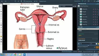 Anatomy REVISION-Introduction&General Embryology-Dr.Ahmed Farid