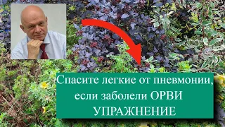 Гимнастика для укрепления легких