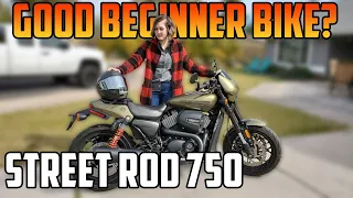 Harley Street Rod 750 - Is It A Good Beginner Motorcycle?