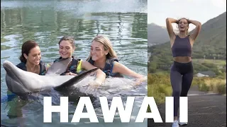 HAWAII VLOG: sunrise hike and swimming with dolphins!