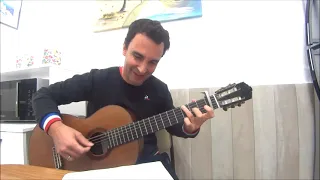 Voyage voyage-Desireless versión Magneto vuela vuela cover guitar fingerstyle