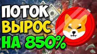 ПОТОК SHIBA INU ВЫРОС НА 850% | ЧТО ДАЛЬШЕ? | Новости Шиба Ину