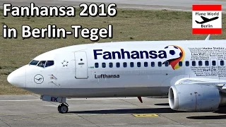 Lufthansa *Fanhansa* Boeing 737-300 D-ABEK in Berlin TXL