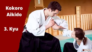 Kokoro Aikido 3. Kyu exam techniques
