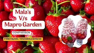 Comparison of Mala's V/s Mapro Garden / Panchgani / Mahabaleshwar