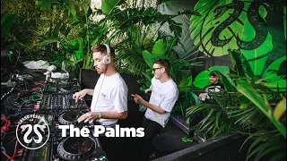 THE PALMS