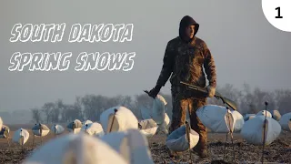 Leading Edge Snow Goose Hunting!!! [South Dakota 2024]