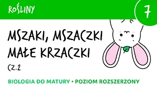 Różnorodność roślin - Mszaki cz.2 Mchy, mszaki, znaczenie mchów - biologia liceum matura