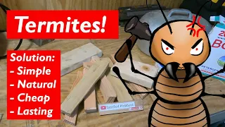 Termites eat, and they don't repeat! DIY natural pest control for the home and shop.