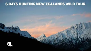 Success First Night? Bull Tahr Hunting And Helicopter Rescues in  New Zealand!