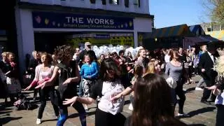 Norwich Flashmob 16th April 2014 'Shake a Tailfeather'