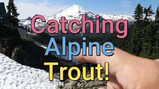 Alpine lake trout fishing (AMAZING VIEWS) - Hiking fishing Chain Lakes loop trail