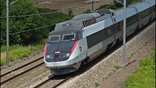 Tribute to SNCF Class Z 6400