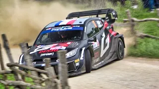 WRC Croatia Rally 2024 | HIGHLIGHTS