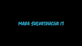 MARA SALVATRUCHA 13