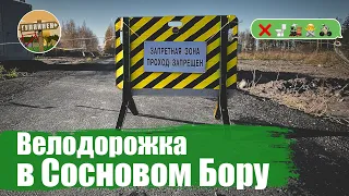 Велодорожка в Сосновом Бору | ВЕЛОБЛОГ | ГУЛЯЙНЕН