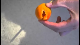 Как отделить косточку от абрикоса не повреждая плод?