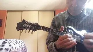 RM75 mandolin demo