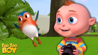 Photographer Episode | Cartoon Animation For Children | Videogyan Kids shows | TooToo Boy