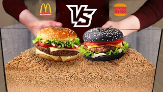 Burger Challenge -- Which burger will the maggots eat faster: MacDonald's VS Burger King?