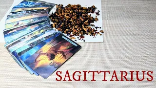 SAGITTARIUS-You Are Proof That Dreams Do Come True! 29th-5th MAY