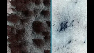 Life on Mars: Shocking NASA photo shows ‘thousands of spiders’ on Mars - What are they?