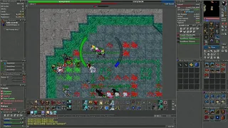 3 hits 1,5k+ seguidos - RP 450 | Tibia