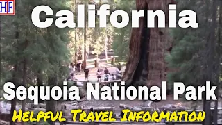 Sequoia National Park – California | Beautiful America Series – Travel Guide - Episode# 17