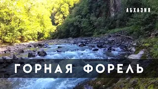 Горная форель. Абхазия. Сухум