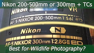 Nikon AF-S 300mm f/2.8G VR II + teleconverters vs. Nikon AF-S 200-500mm f/5.6E VR on the Z7?