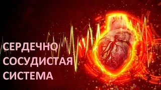 Сердечно сосудистая система. Гипертония. Бутакова.