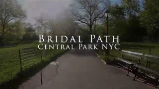 Central Park NYC Run on Bridle Path Around the Reservoir (shot on GoPro Hero 8. 5x speed)