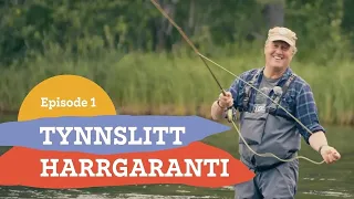 1. Tynnslitt harrgaranti