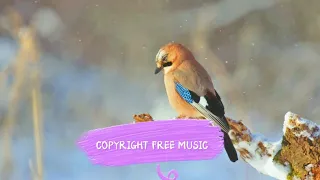 "OPHELIA"/Copyright free music/ background music/vlog music