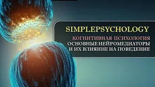 Когнитивная психология #15. Основные нейромедиаторы и их влияние на наше поведение.