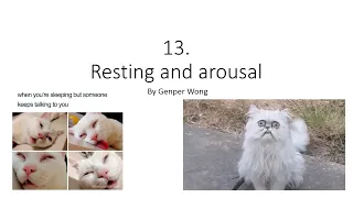 HKBB101 | 13 | Resting and arousal
